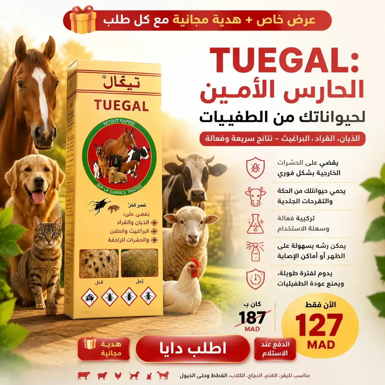 TUGAL 01
